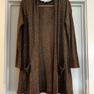 American Eagle Cardigan